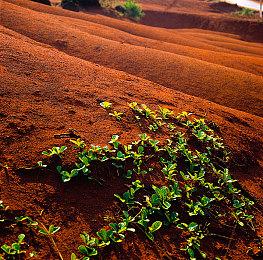 SE《新美妙世界》新图、新情报公布 展示新宿死神